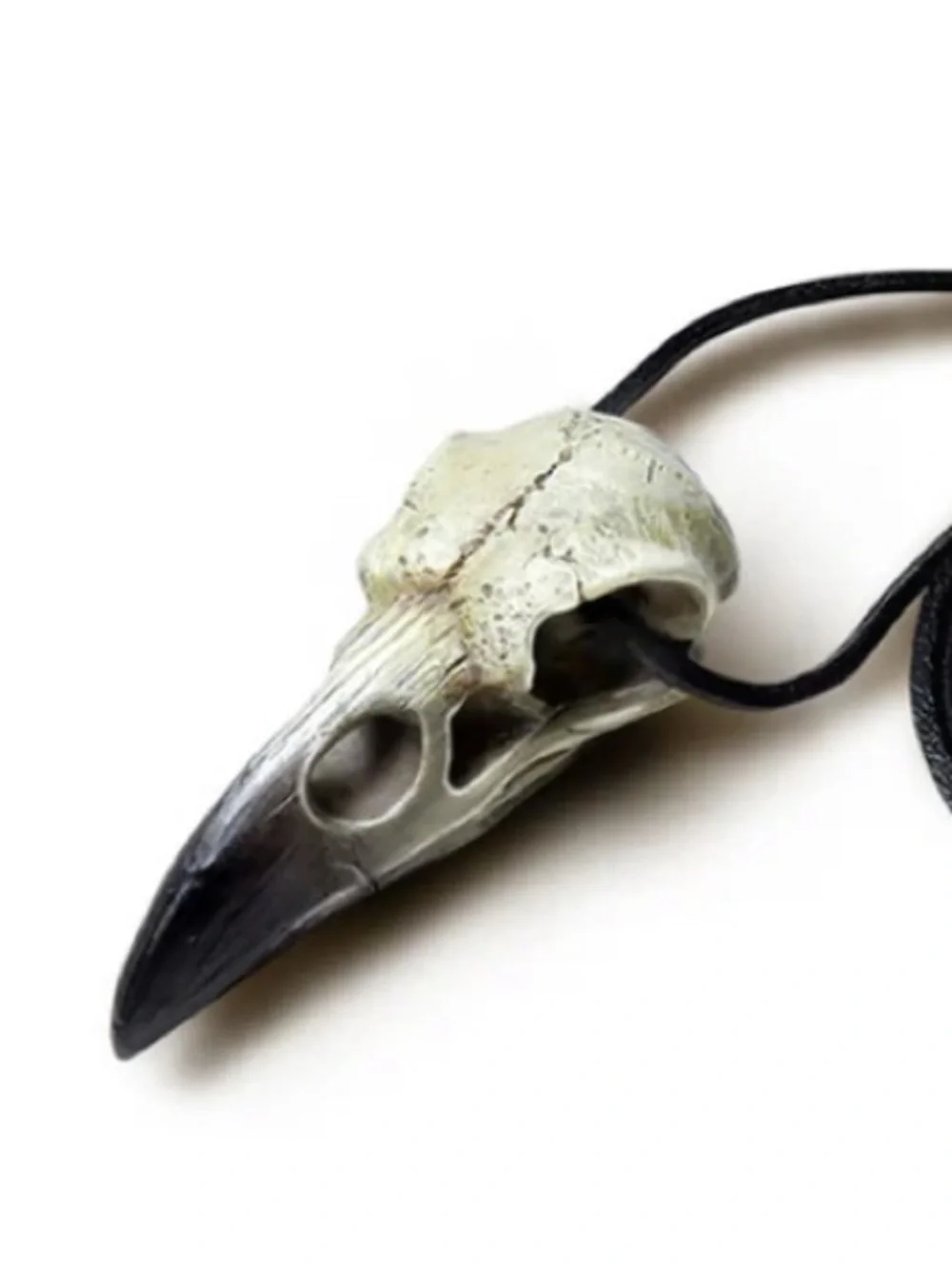 Reliquary Raven Skull pendant necklace Alchemy Gothic Sacred Talisman Unisex